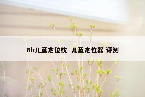 8h儿童定位枕_儿童定位器 评测