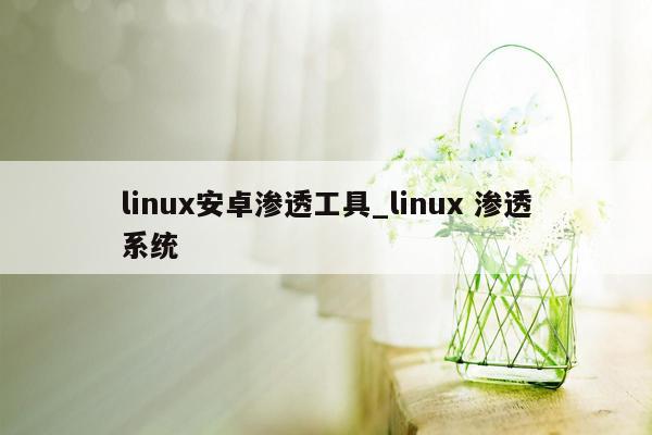 linux安卓渗透工具_linux 渗透系统