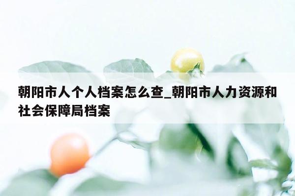 朝阳市人个人档案怎么查_朝阳市人力资源和社会保障局档案