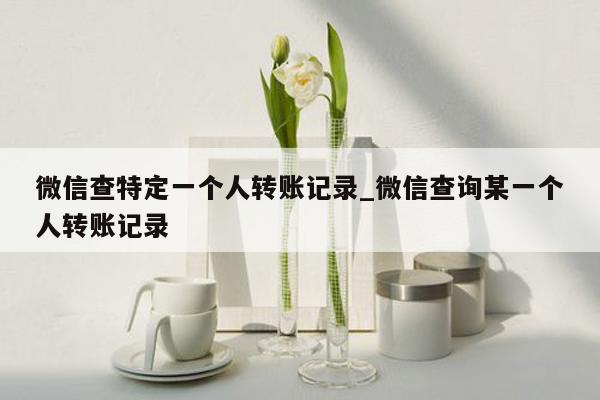 微信查特定一个人转账记录_微信查询某一个人转账记录