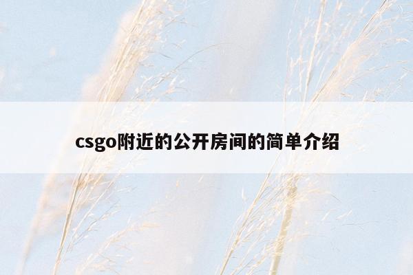 csgo附近的公开房间的简单介绍