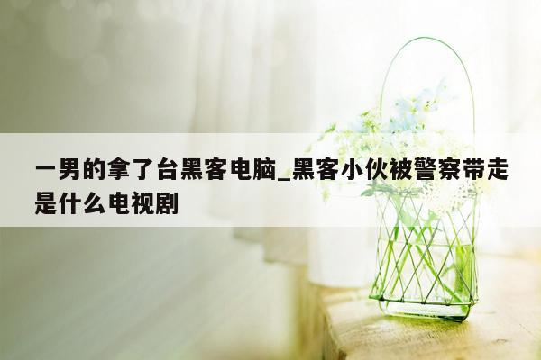 一男的拿了台黑客电脑_黑客小伙被警察带走是什么电视剧