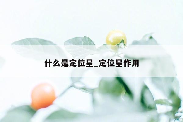 什么是定位星_定位星作用