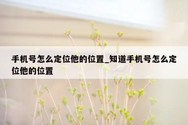 手机号怎么定位他的位置_知道手机号怎么定位他的位置