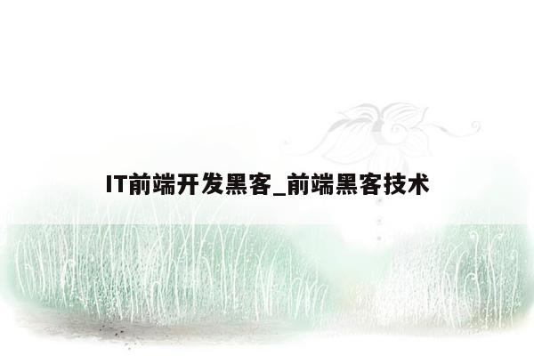 IT前端开发黑客_前端黑客技术