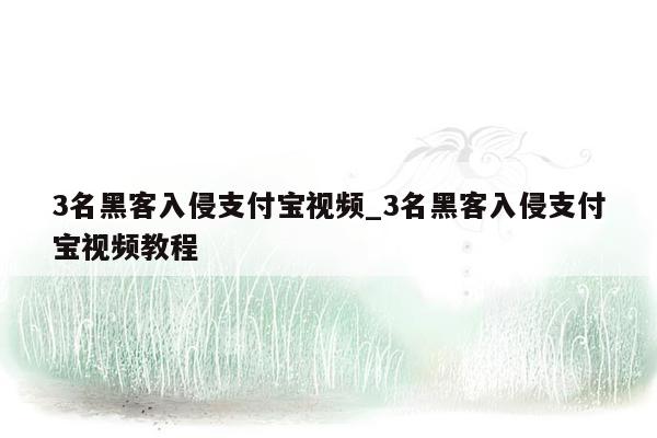 3名黑客入侵支付宝视频_3名黑客入侵支付宝视频教程