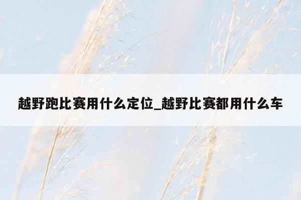 越野跑比赛用什么定位_越野比赛都用什么车