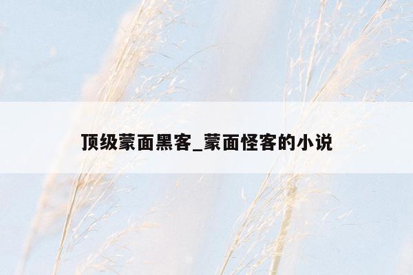 顶级蒙面黑客_蒙面怪客的小说