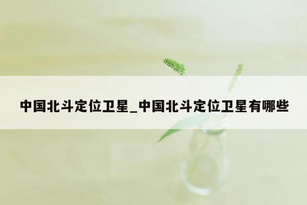 中国北斗定位卫星_中国北斗定位卫星有哪些