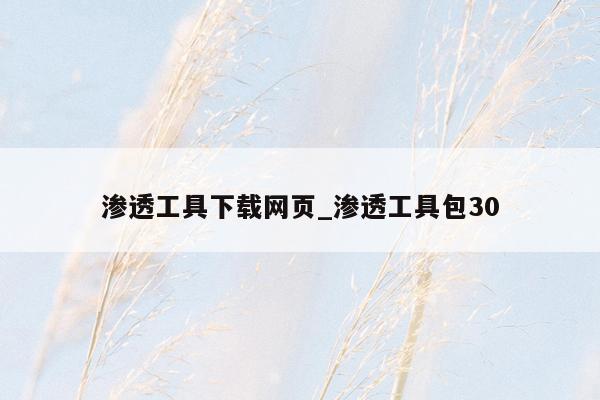 渗透工具下载网页_渗透工具包30