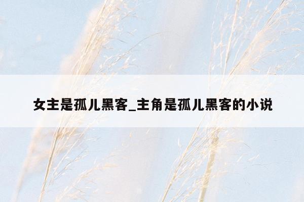 女主是孤儿黑客_主角是孤儿黑客的小说