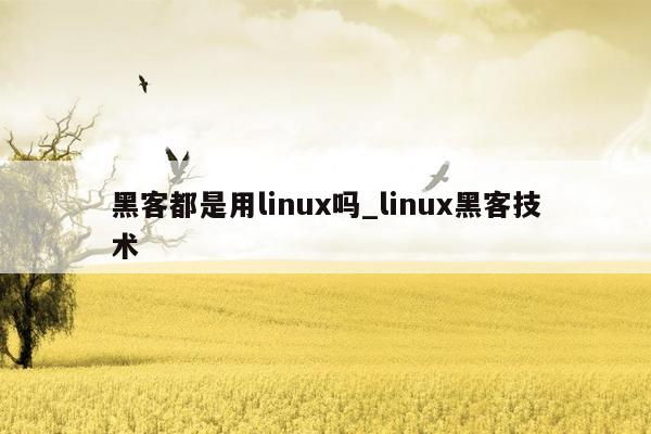 黑客都是用linux吗_linux黑客技术