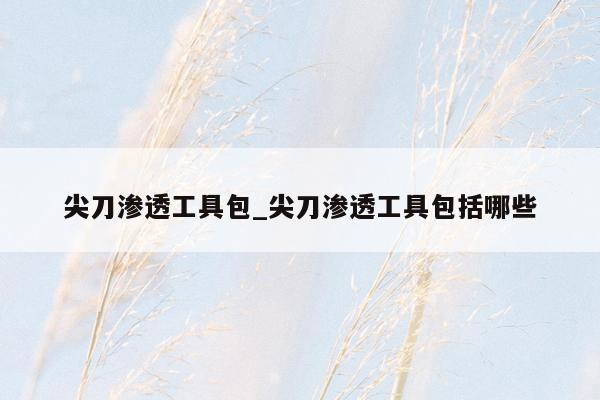 尖刀渗透工具包_尖刀渗透工具包括哪些