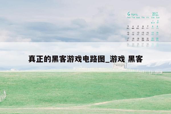 真正的黑客游戏电路图_游戏 黑客