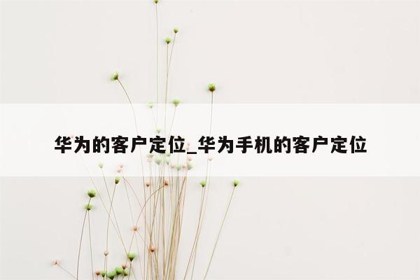 华为的客户定位_华为手机的客户定位