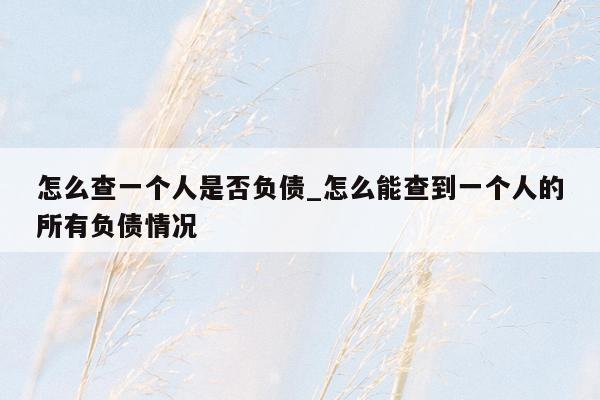 怎么查一个人是否负债_怎么能查到一个人的所有负债情况