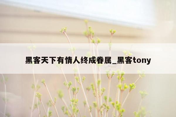 黑客天下有情人终成眷属_黑客tony