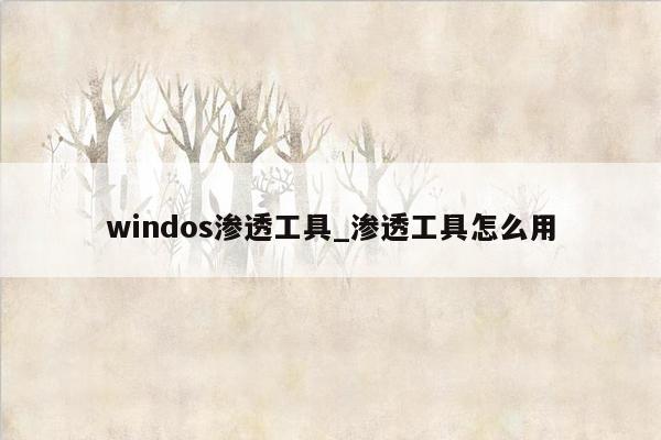 windos渗透工具_渗透工具怎么用