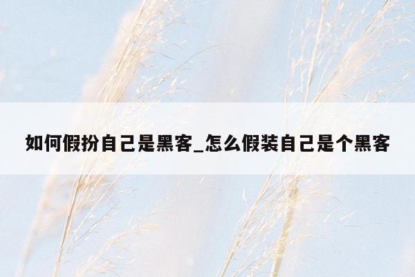 如何假扮自己是黑客_怎么假装自己是个黑客