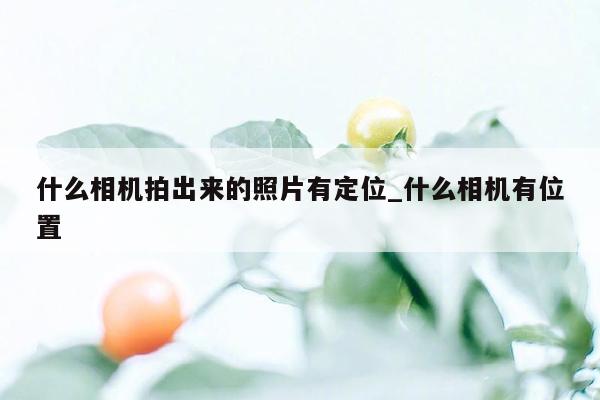 什么相机拍出来的照片有定位_什么相机有位置