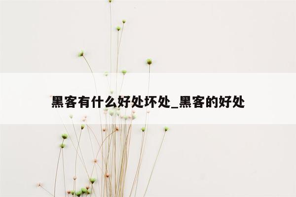 黑客有什么好处坏处_黑客的好处