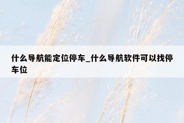 什么导航能定位停车_什么导航软件可以找停车位