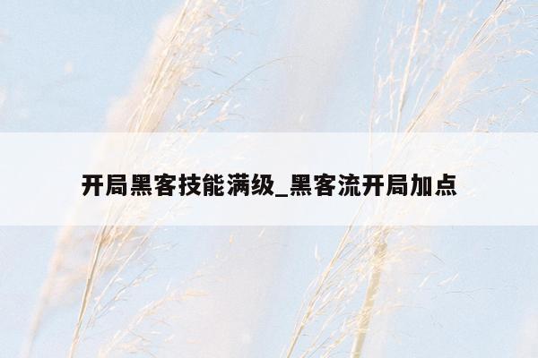 开局黑客技能满级_黑客流开局加点
