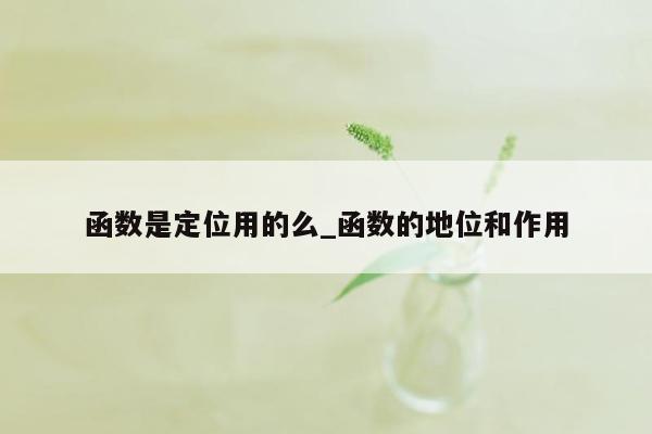 函数是定位用的么_函数的地位和作用