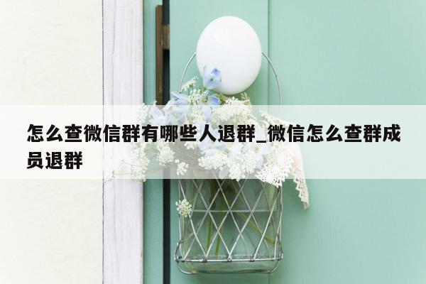 怎么查微信群有哪些人退群_微信怎么查群成员退群