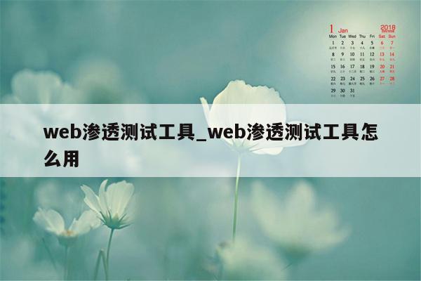 web渗透测试工具_web渗透测试工具怎么用