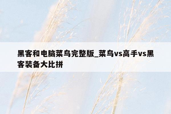 黑客和电脑菜鸟完整版_菜鸟vs高手vs黑客装备大比拼