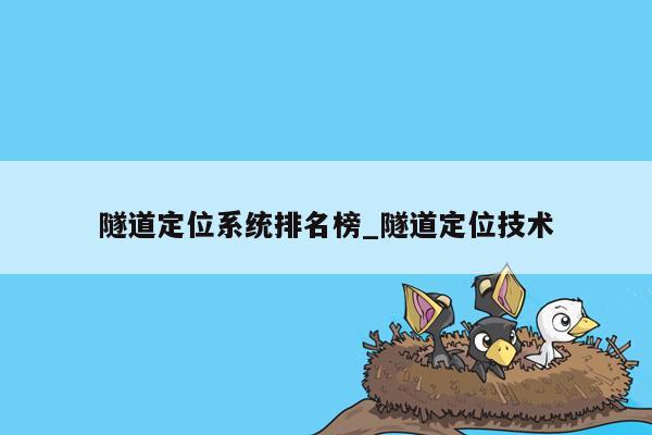 隧道定位系统排名榜_隧道定位技术