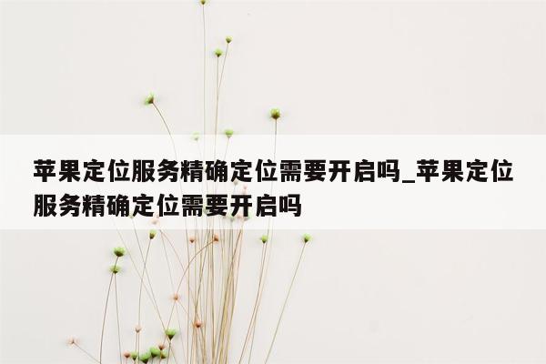 苹果定位服务精确定位需要开启吗_苹果定位服务精确定位需要开启吗