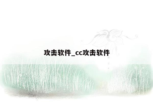 攻击软件_cc攻击软件