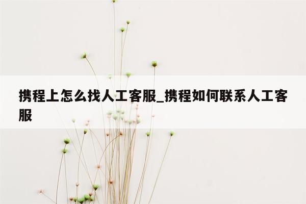 携程上怎么找人工客服_携程如何联系人工客服