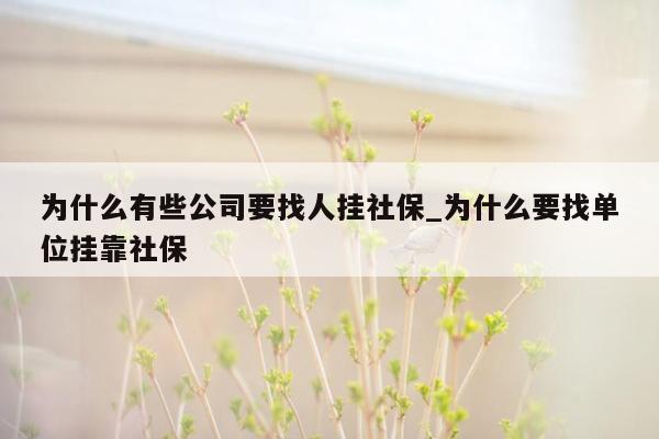 为什么有些公司要找人挂社保_为什么要找单位挂靠社保