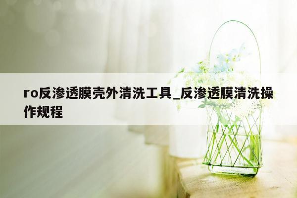 ro反渗透膜壳外清洗工具_反渗透膜清洗操作规程
