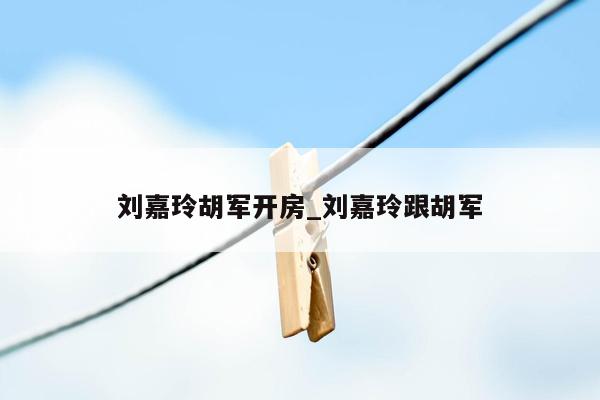 刘嘉玲胡军开房_刘嘉玲跟胡军