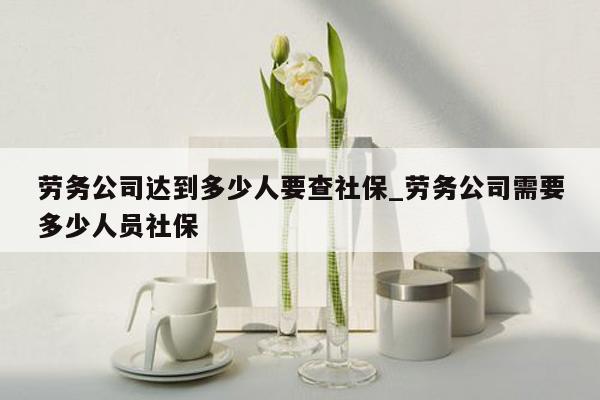 劳务公司达到多少人要查社保_劳务公司需要多少人员社保