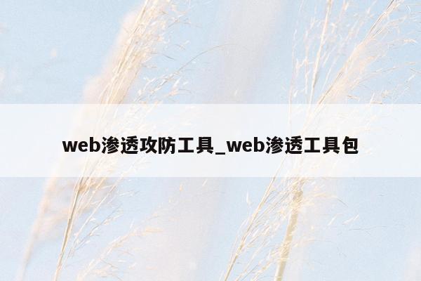 web渗透攻防工具_web渗透工具包