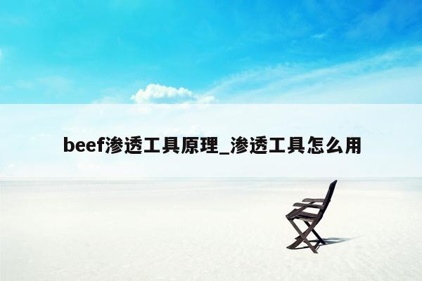 beef渗透工具原理_渗透工具怎么用