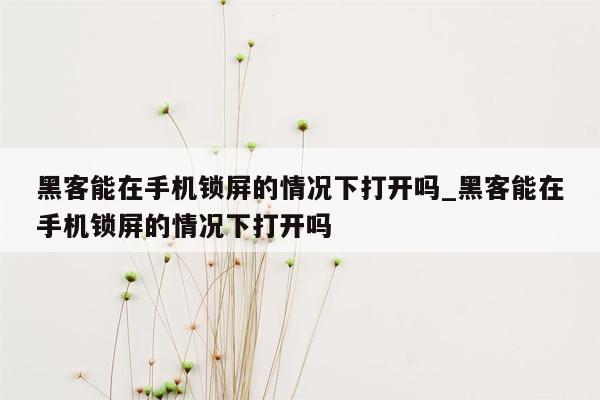 黑客能在手机锁屏的情况下打开吗_黑客能在手机锁屏的情况下打开吗