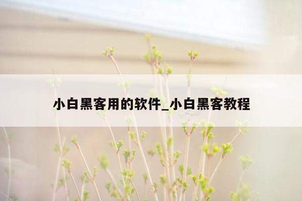 小白黑客用的软件_小白黑客教程