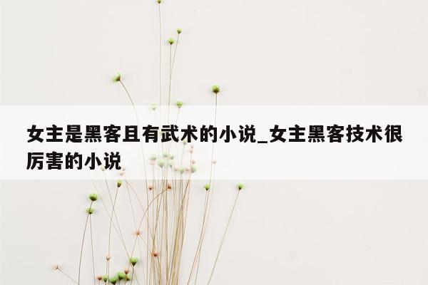 女主是黑客且有武术的小说_女主黑客技术很厉害的小说