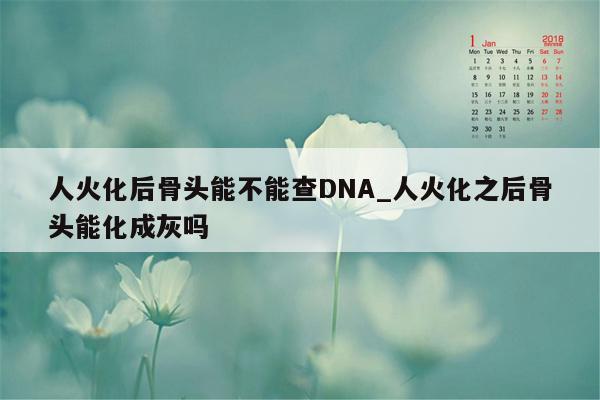 人火化后骨头能不能查DNA_人火化之后骨头能化成灰吗