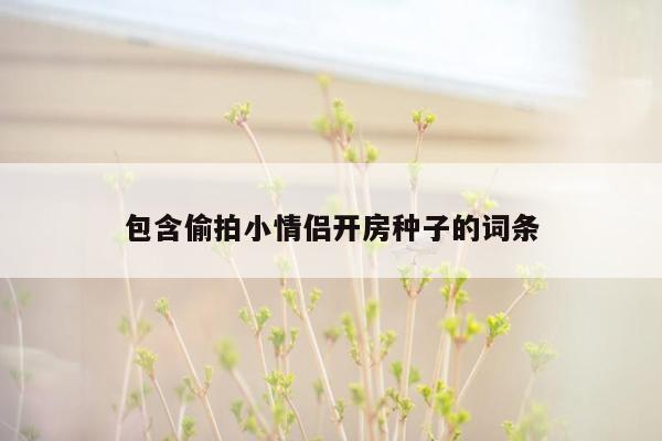 包含偷拍小情侣开房种子的词条