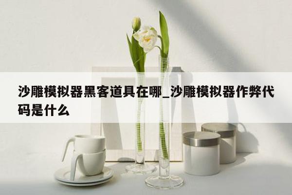 沙雕模拟器黑客道具在哪_沙雕模拟器作弊代码是什么