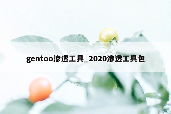 gentoo渗透工具_2020渗透工具包