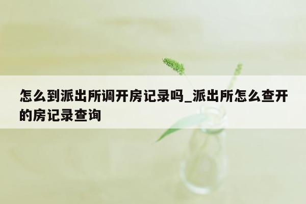 怎么到派出所调开房记录吗_派出所怎么查开的房记录查询