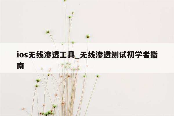 ios无线渗透工具_无线渗透测试初学者指南